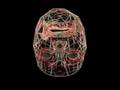 videos de Heads Up! Biomechanical Modeling and Neuromuscular Control o