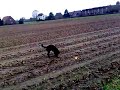 27112008046