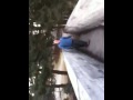 video2.mov Video