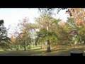 videos de Dawes Arboretum