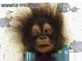 The Caucas monkey - free flv video @ vwatch.tv