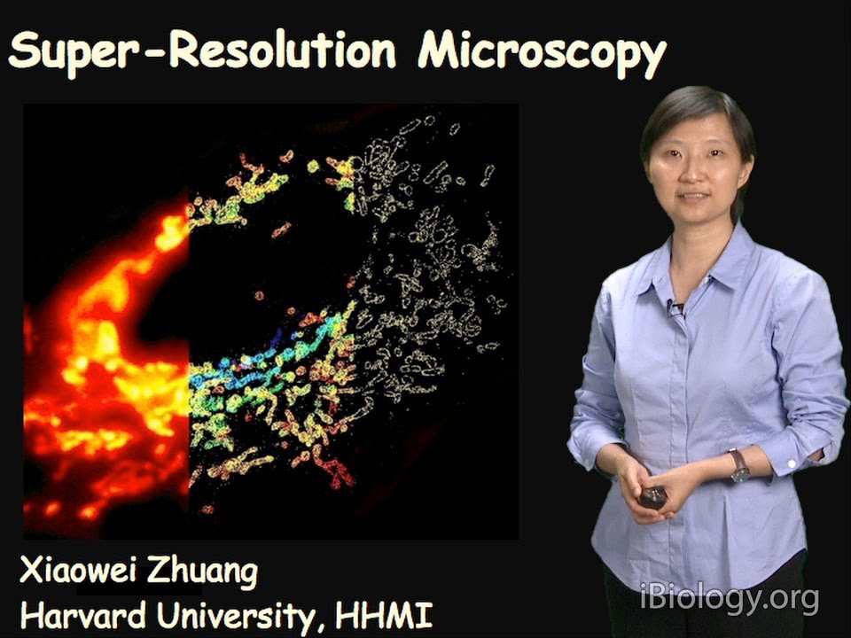 Microscopy: Super-Resolution Microscopy (Xiaowei Zhuang)