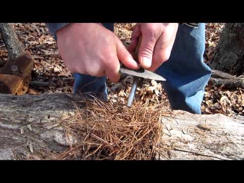 how to dye pine needles