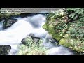 bladder The free flow of the menses is sometimes obstructed.mov