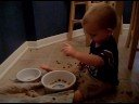 Dog food