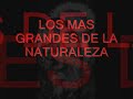 criptozoologia
