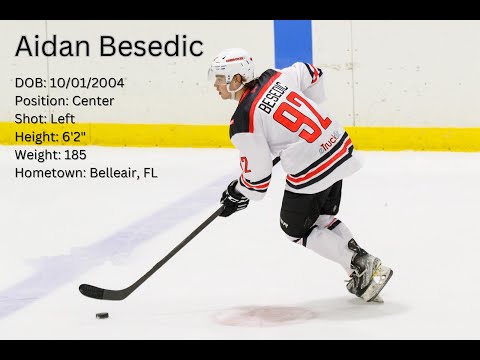 2024-2025 Highlights