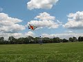 Large Delta Kite 19 Foot Wingspan Large Delta Kite 19 Foot Wingspan