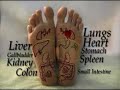Reflexology for the Feet and Hands by Real Bodywork Reflexology for the Feet and Hands by Real Bodywork