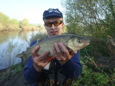 видео рыбалка на голавля на воблеры видео рыбалка на голавля на воблеры