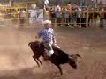 Becerreadas en los Teatinos (Las Peñas) de Santa Maria Aztahuacan donde se hace el tradicional 