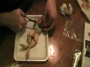 How To Dissect a frog How To Dissect a frog
