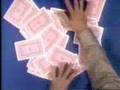 BrainGames (HBO) Safari Solitaire