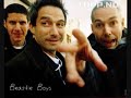 Beastie boys- Fight for your right to party