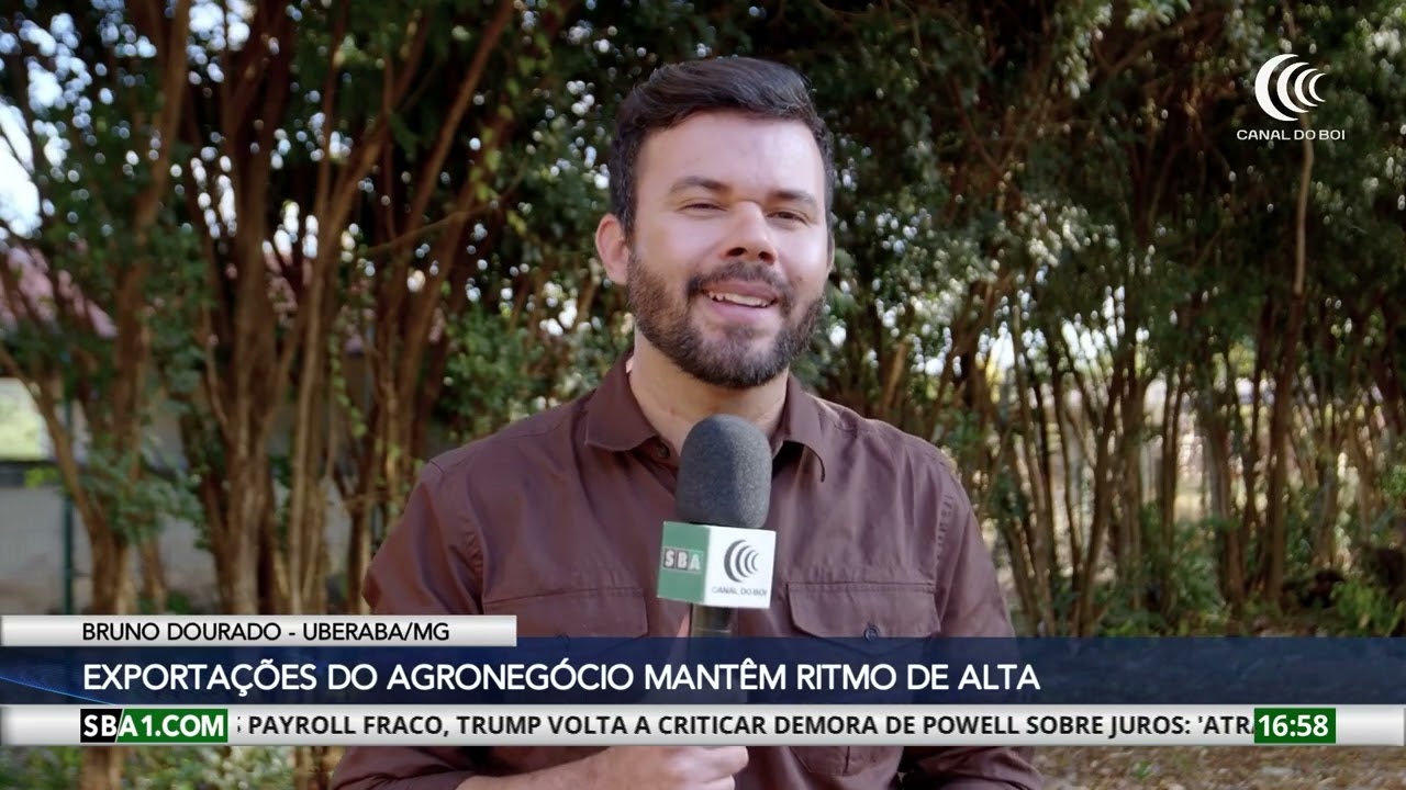 Agro de Minas Gerais impulsiona exportações com alta contínua