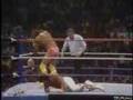 Macho Man vs. Ricky the Dragon Steamboat part 1