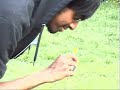 Chop Suey! (The Bunny Version)