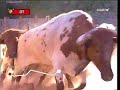 Segundo Encierro San Fermin - 8 Julio 2008- Cebada Gago