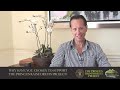 Richard E Grant, Actor