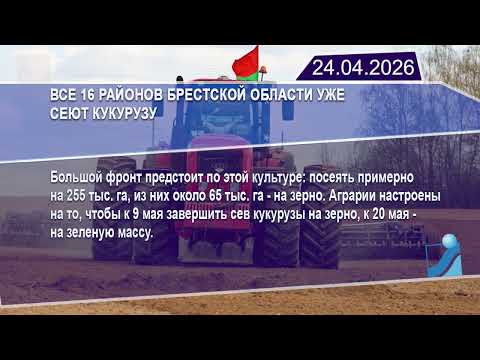 Новостная лента Телеканала Интекс 24.04.26.