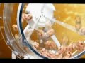 Euro millions draw  20. November 2009