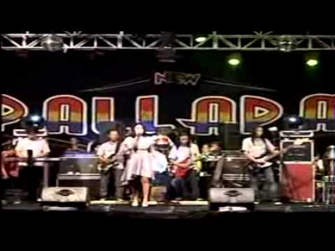 OM PALAPA IJINKANLAH ( Anisa Rahma ).