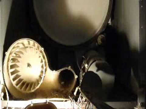 how to get squirrels out of dryer vent