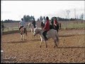 horse ball grand clary horse ball grand clary