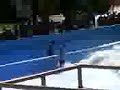 Puyo surfeando