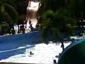 Puyo surfeando