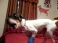 Messing with Sophie
