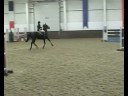 Addington Manor - Fleur