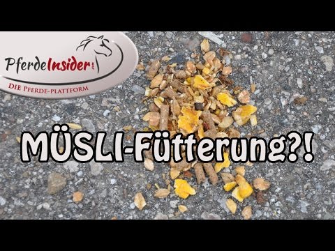 5 Gründe, warum MÜSLI für Pferde NICHT gesund ist!
