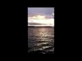 Beautiful Things in Seattle by Gungor