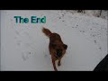 To Fred, with love, from Hunter.avi