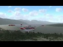 Why We Fly
