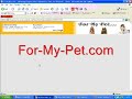 Pet Supply Web Site Pet Supply Web Site