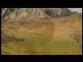 Wunderkind - Chronicles of Narnia