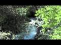 Jaumave, Tam. venero del Rio Guayalejo