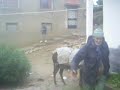 RslRoi  Grand Prix صبق جائزة صحافيون بلا قيود إعلان RslRoi Inondations 5 Fayadane   صبق قاطعوا انتخابات مغرب الفيضانات RsLRoi RsL Roi catastrophe Inondations au Maroc  Zones  Sinistrées par les Inondations Fayadane  Reporters Sans Limites صبق ملك ضحايا فياضانات المغرب صحافيون بلا قيود تدعو لمقاطعة الإنتخابات كلهاصبق ملك صحافيون بلا قيود خاص بملك المغرب محمد السادس الصحافي برهون حسن صحافة فيلم تطوانRsLRoi RsL Roi Reporters Sans Limites Au Mohammed VI MAROC Rey MARRUECOS King MOROCCO Mohamed sis M6 BARHON Hassan II PRESS FILMS catastrophes Marocains  Zones  Sinistrées Inondations Fayadane قاطعوا الإنتخابات   فضائح فياضانات المغرب الفيضان الأمطار الغزيرة