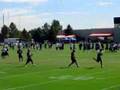 Jay-Cutler-Passes-Br