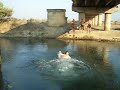 Sion crossing the Cuke channel