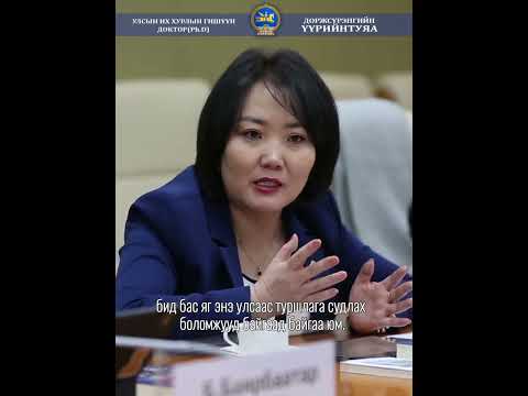 Д.Үүрийнтуяа: Мега төслүүд дээр Швед, Эмират улсуудтай хамтран ажиллах боломжийг эрэлхийлнэ