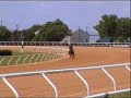 Thoroughbred Race Horses in training Ocala 2007 Thoroughbred Race Horses in training Ocala 2007