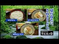 青森県弘前市　本格さぬきうどん うどんや 一番