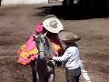 escaramuza las margaritas perla azucena i