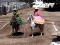 escaramuza las margaritas perla azucena i
