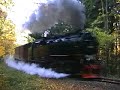 Harz Narrow Gauge Steam