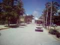 Golf Cart in Akumal