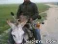 magar tunat